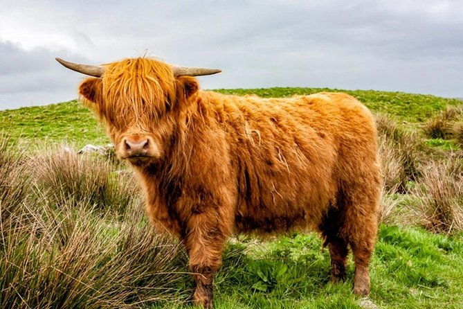 scotland-tours