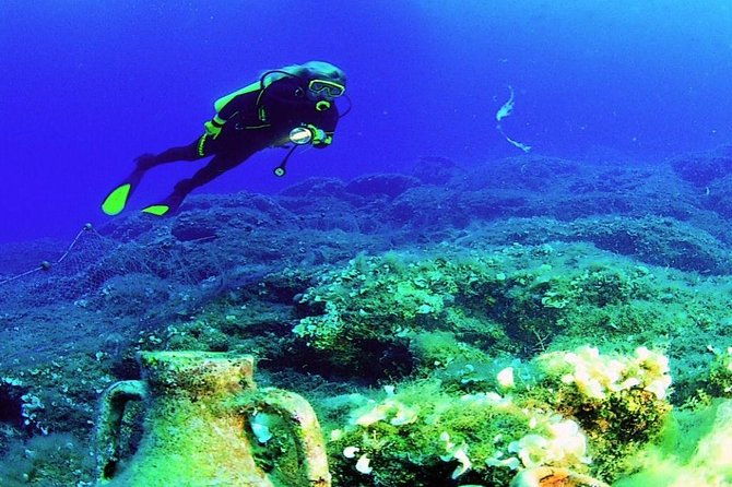 scuba-diving-experience-for-beginners-w-instructor-incl-transfer