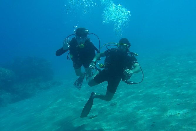 scuba-diving-in-rosario-islands