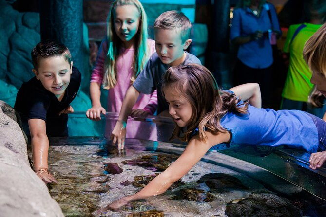 sea-life-aquarium-arizona-admission-ticket