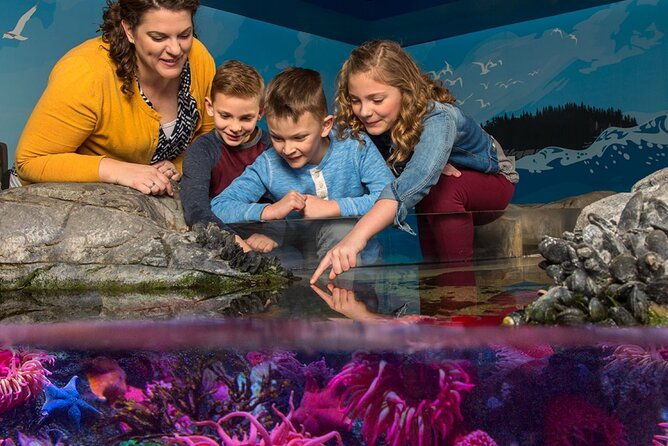 sea-life-aquarium-grapevine-admission-ticket-2