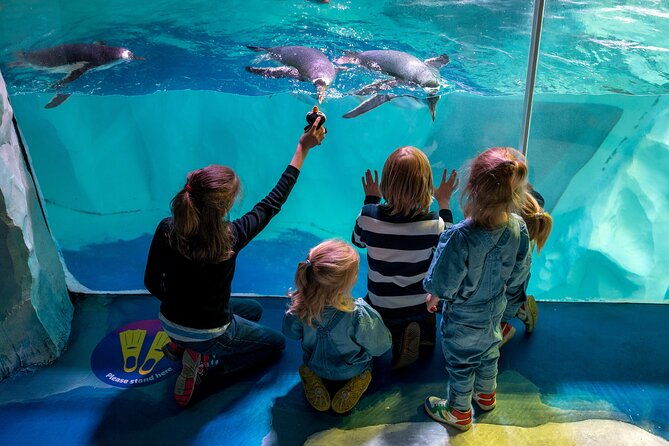sea-life-birmingham-admission-ticket-3