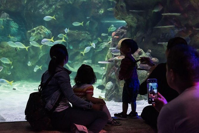 sea-life-brighton-admission-ticket