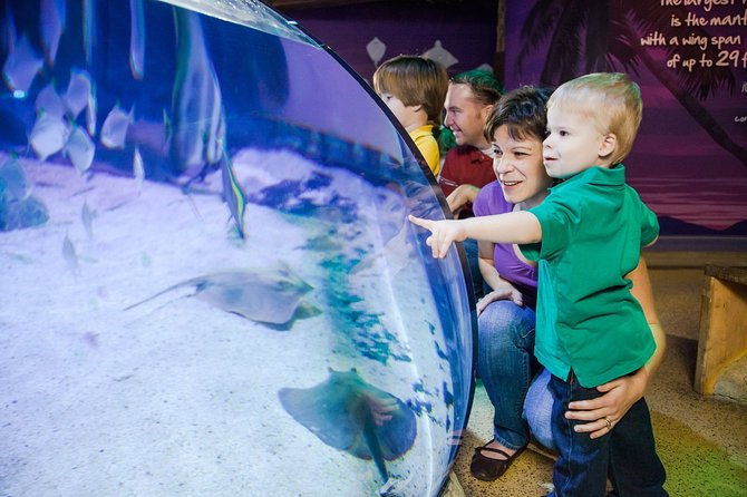 sea-life-kansas-city-aquarium-admission-ticket