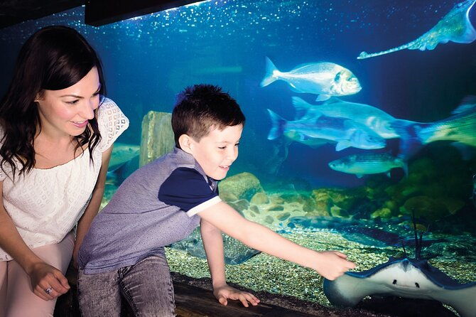 sea-life-munich-admission-ticket