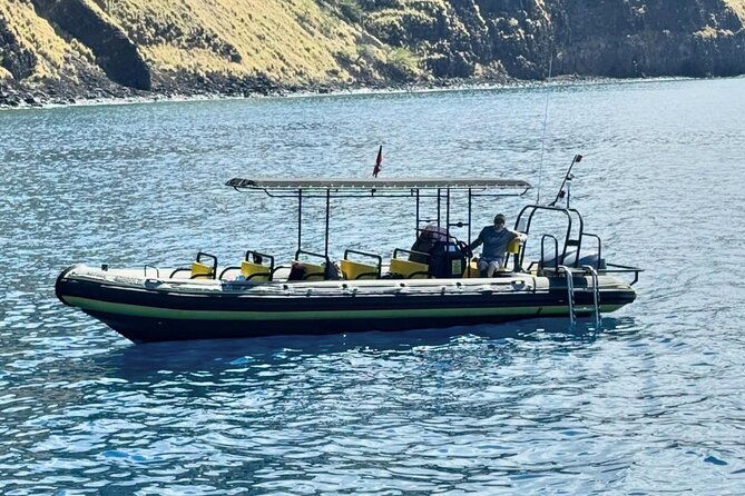 seasonal-small-group-humpback-whale-watching-in-kona