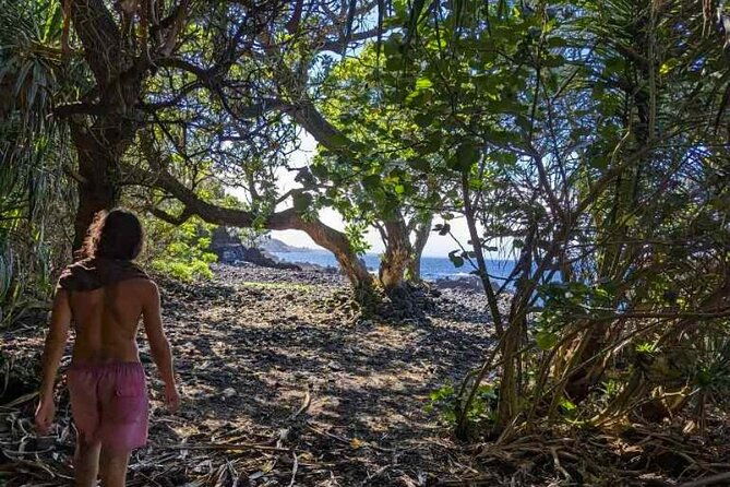 secret-jungle-tide-pool-hike-private