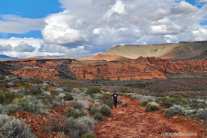 secret-petroglyphs-hike-adventure