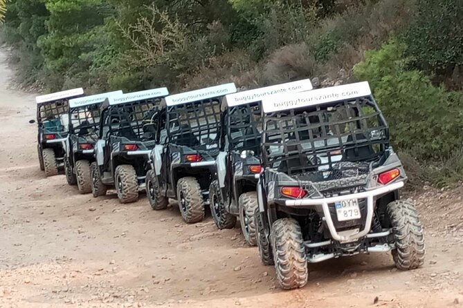 self-driving-off-road-buggy-tour-with-experienced-guide-2