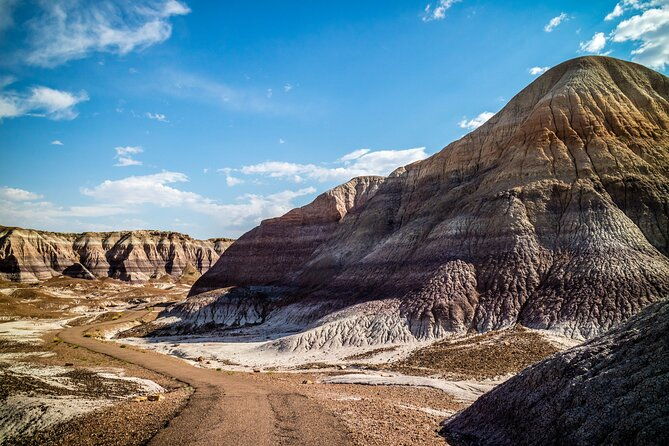 self-guided-audio-driving-tour-in-petrified-forest-national-park