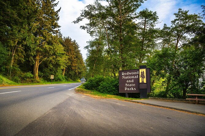 self-guided-driving-audio-tour-of-redwood-national-and-state-park