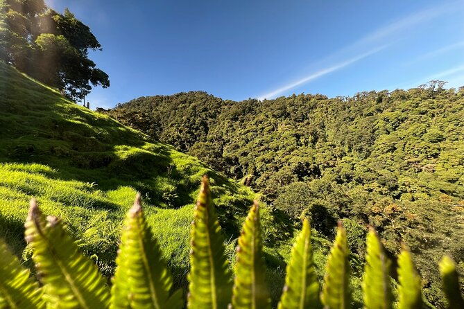 self-guided-walk-in-the-iral-cloud-forest-trails