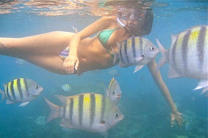 set-sail-in-aruba-jolly-pirate-cruise-with-snorkel-adventure