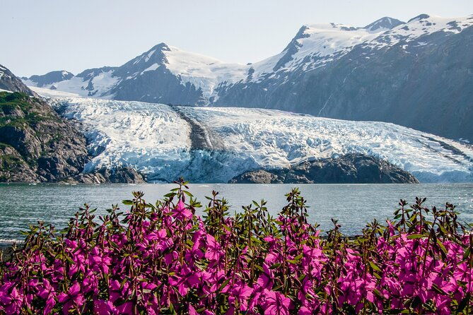 seward-to-anchorage-post-cruise-curated-wildlife-tour-transfer