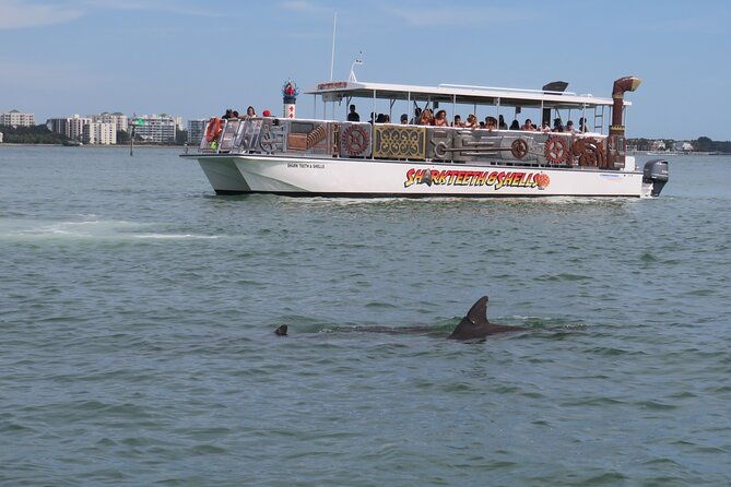 shark-teeth-and-shells-dolphin-and-shelling-tour-boat-clearwater-beach