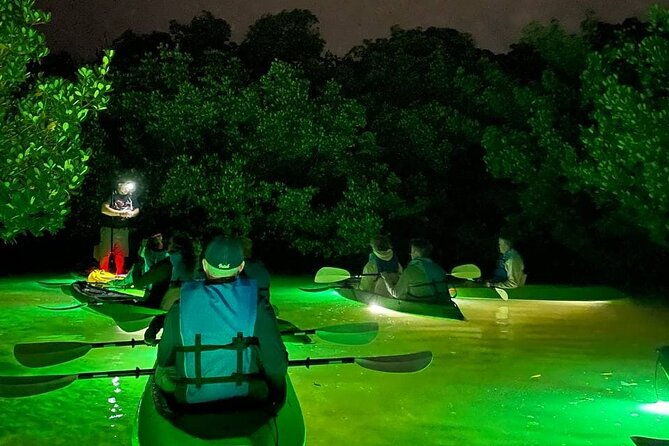 sharkeys-glass-bottom-fish-feeding-led-night-tour-in-sarasota