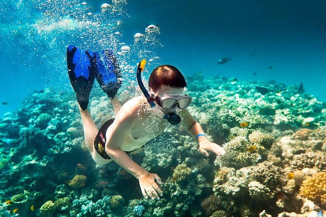 shore-excursion-roatan-parasailing-adventure-and-reef-snorkel