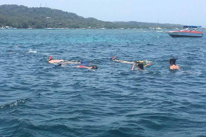 shore-excursion-roatan-wildlife-eco-park-and-two-stop-snorkel