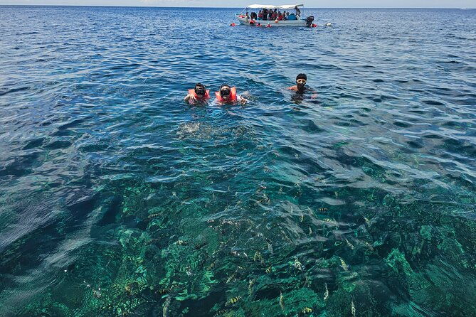 shore-excursion-roatan-zip-line-wildlife-eco-park-and-snorkel