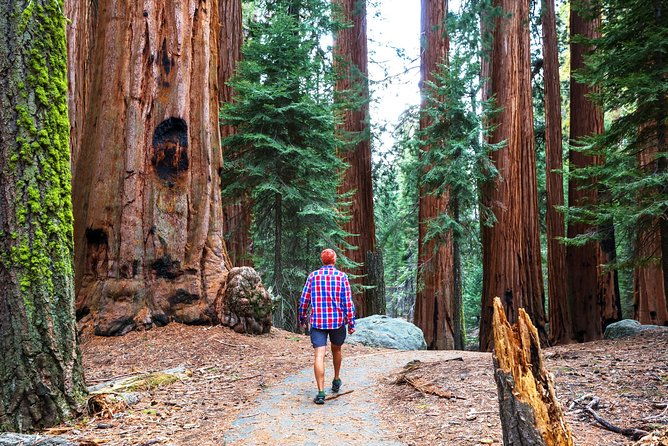 sierra-nevada-4-day-tour-of-yosemite-and-tahoe-from-san-francisco