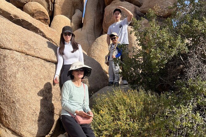 sightseeing-adventure-tour-of-joshua-tree-national-park-2