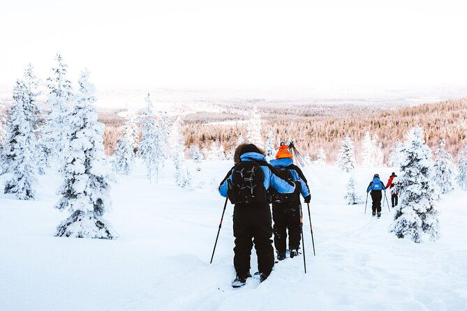 ski-trekking-safari-in-lapland