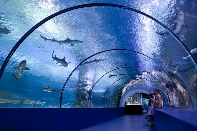 skip-the-line-antalya-aquarium-ticket