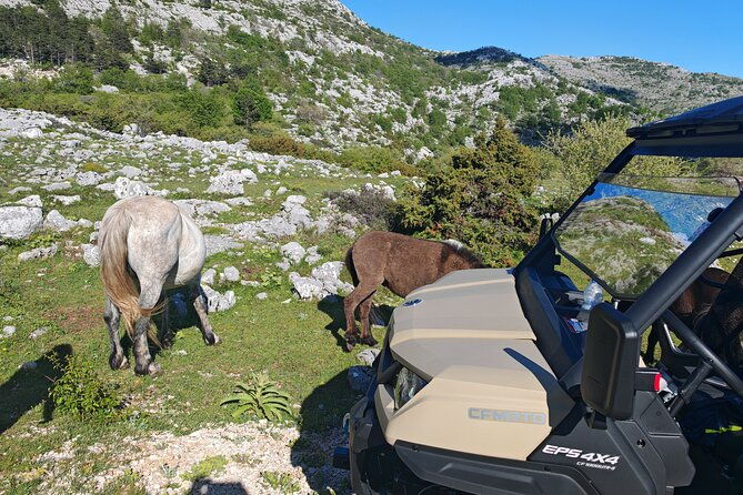 skywalk-biokovo-tour-in-buggys