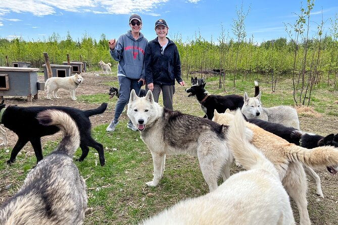sled-dog-kennel-tour