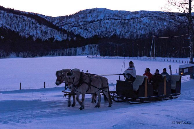 sleigh-ride-w-tapas-meal-experience-arctic-farm-life