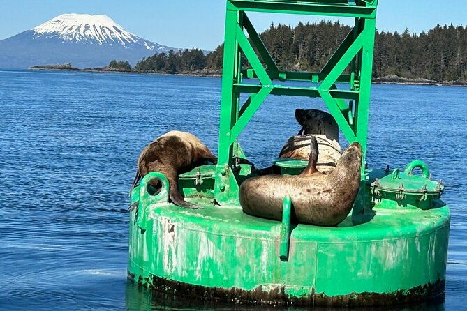 small-group-boat-tour-of-sitka-2