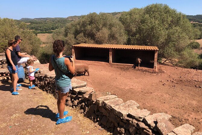 small-group-cheese-making-and-tasting-from-the-island-of-baleares