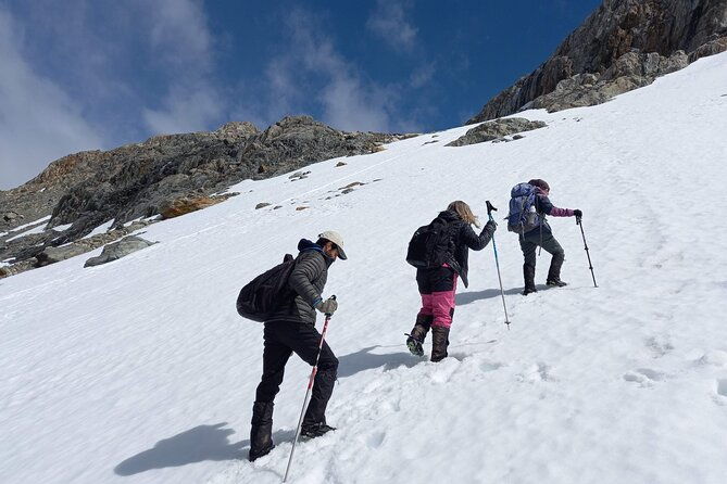 small-group-trekking-to-albino-glacier