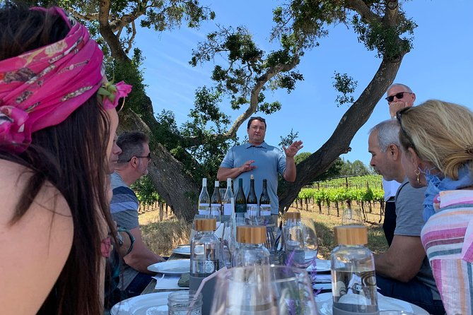 small-group-wine-tasting-tour-of-santa-barbara-wine-country