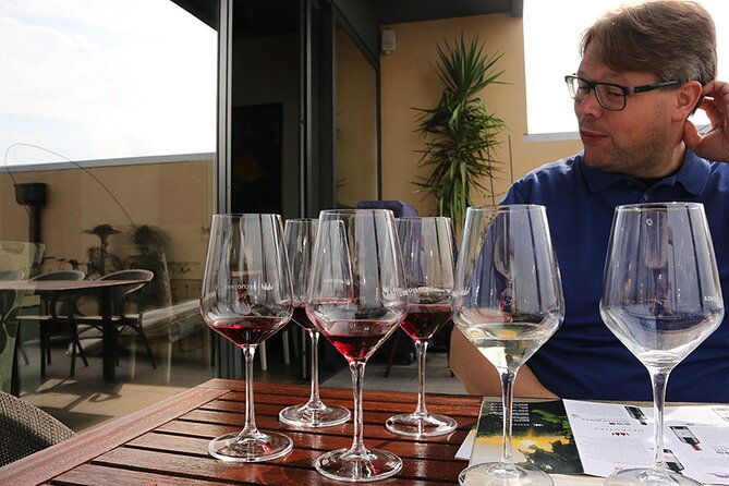 small-group-wine-tour-in-sumadija-wine-region-2