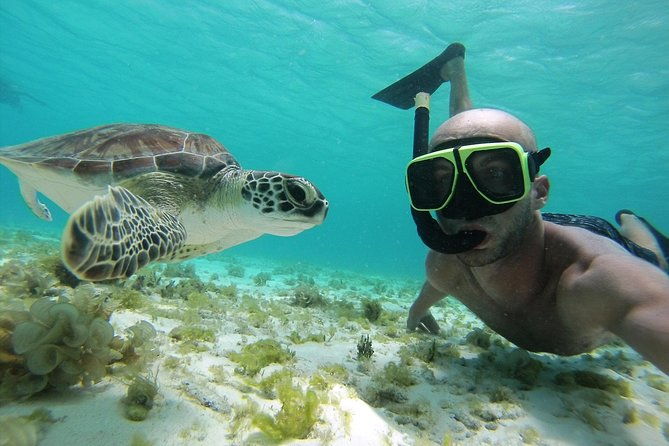 snorkel-tour-in-curacao