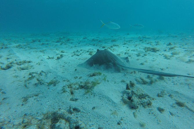 snorkeling-tour-with-light-refreshments