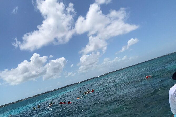 snorkeling-with-the-turtles