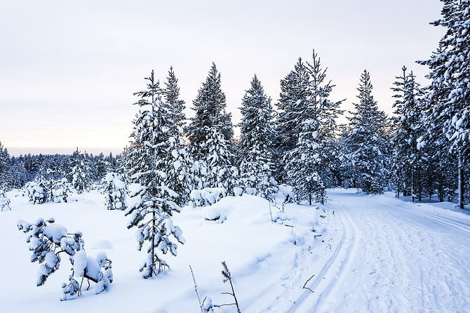 snowmobile-safari-in-the-nature-morning-start