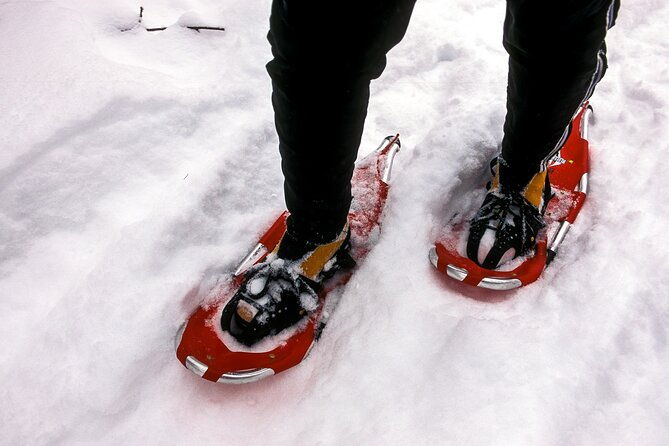 snowshoe-or-cross-country-ski-tours-in-glacier-national-park