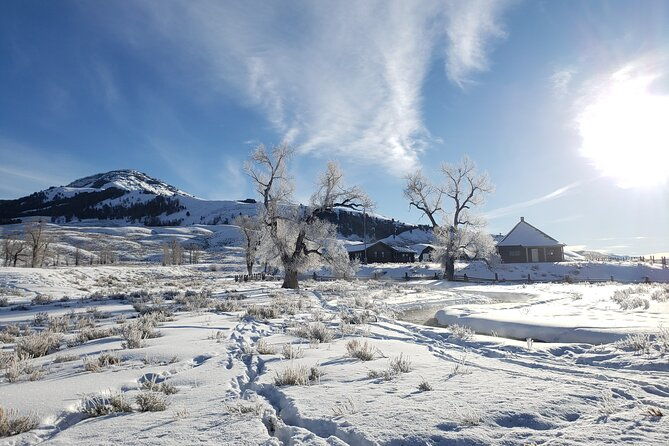 snowshoe-or-xc-ski-in-north-yellowstone-half-day