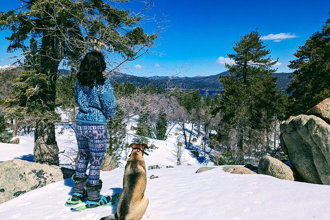 snowshoe-tour-big-bear-lake-with-hot-chocolate