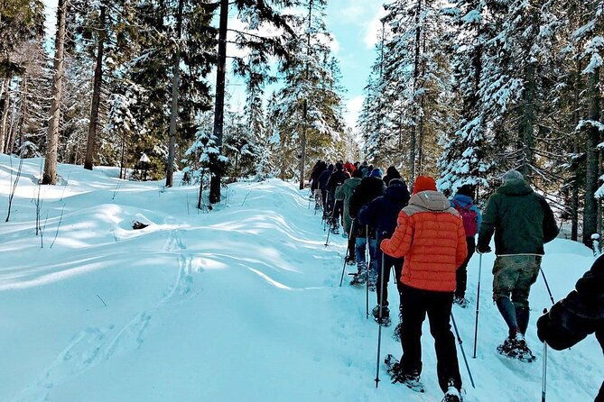 snowshoe-tour-in-winter-wonderland-oslo-2