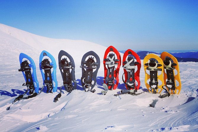 snowshoeing-fun-tour-from-cluj-napoca
