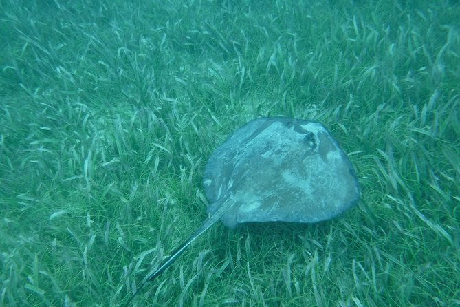 st-john-surrounding-cays-full-day-sail-snorkel-all-inclusive
