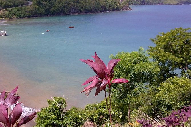 st-lucia-tet-paul-nature-trail-tour