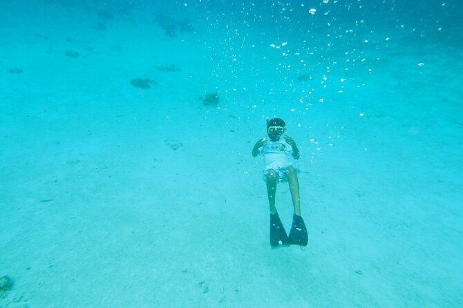 stingray-city-sandbar-coral-gardens-snorkeling-starfish-point