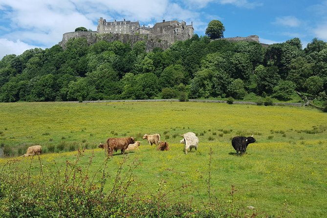 stirling-castle-trossachs-and-loch-lomond-shore-excursion-4