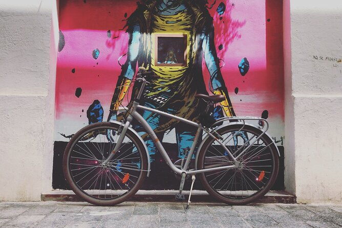 street-art-private-guided-tour-on-bike-e-bike-e-step-or-segway-2