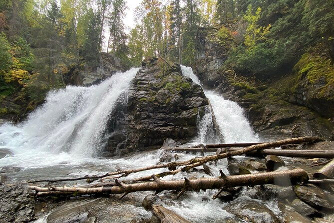 summer-valley-and-forest-hike